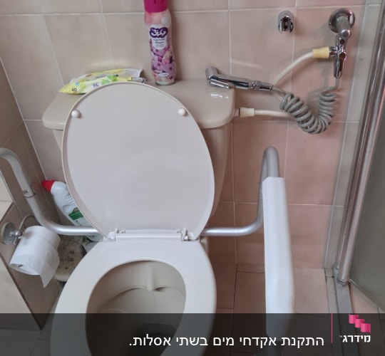 שירותים עם ידית אחיזה ומרסס מים
